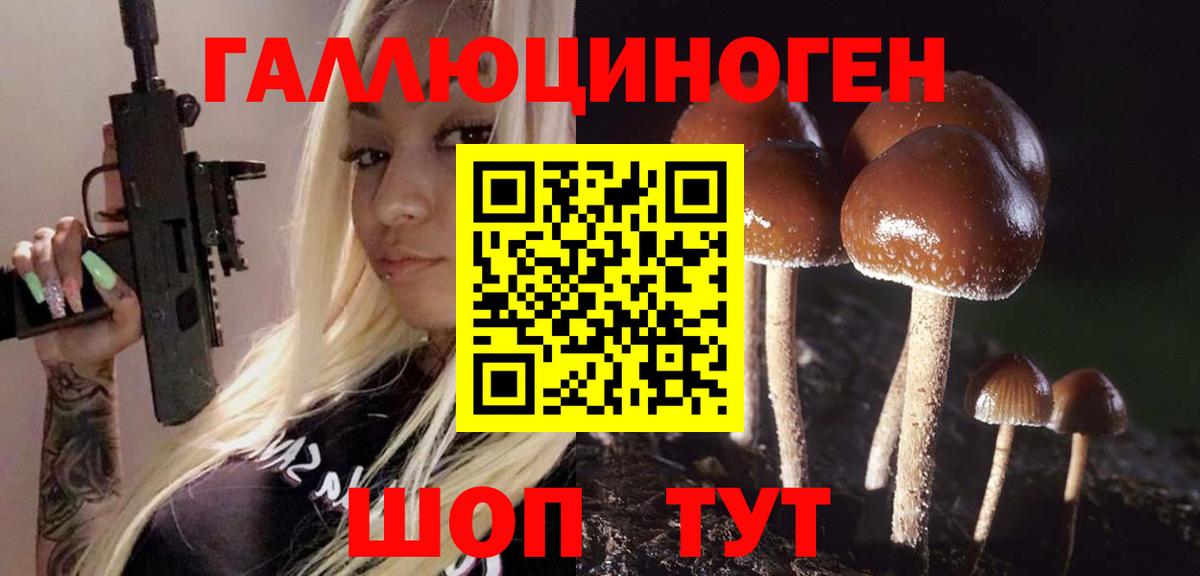 Псилоцибиновые грибы Psilocybe Торжок
